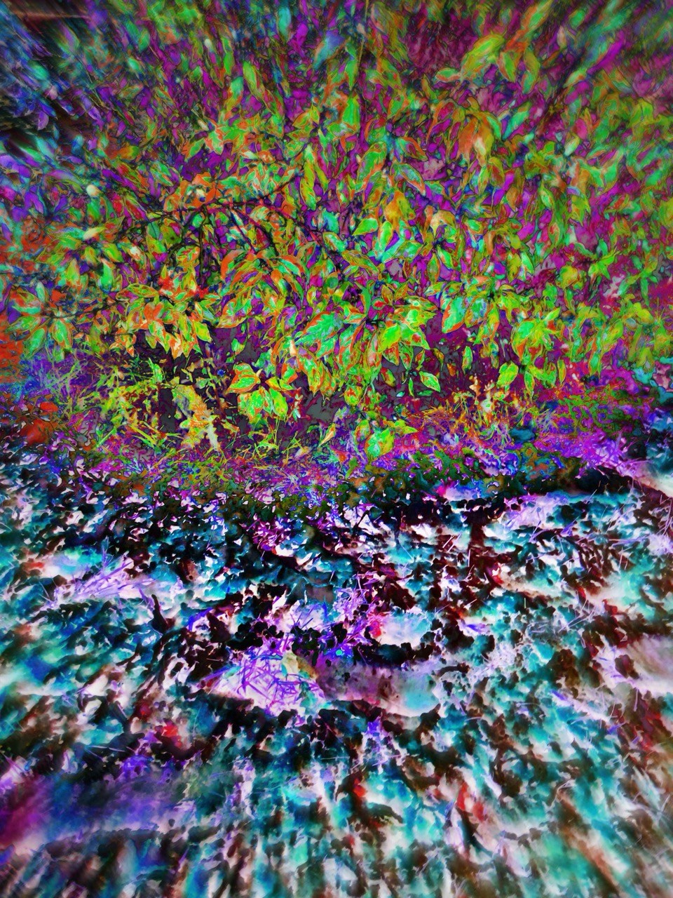 NEON LIGHT. VISUAL ARTIST