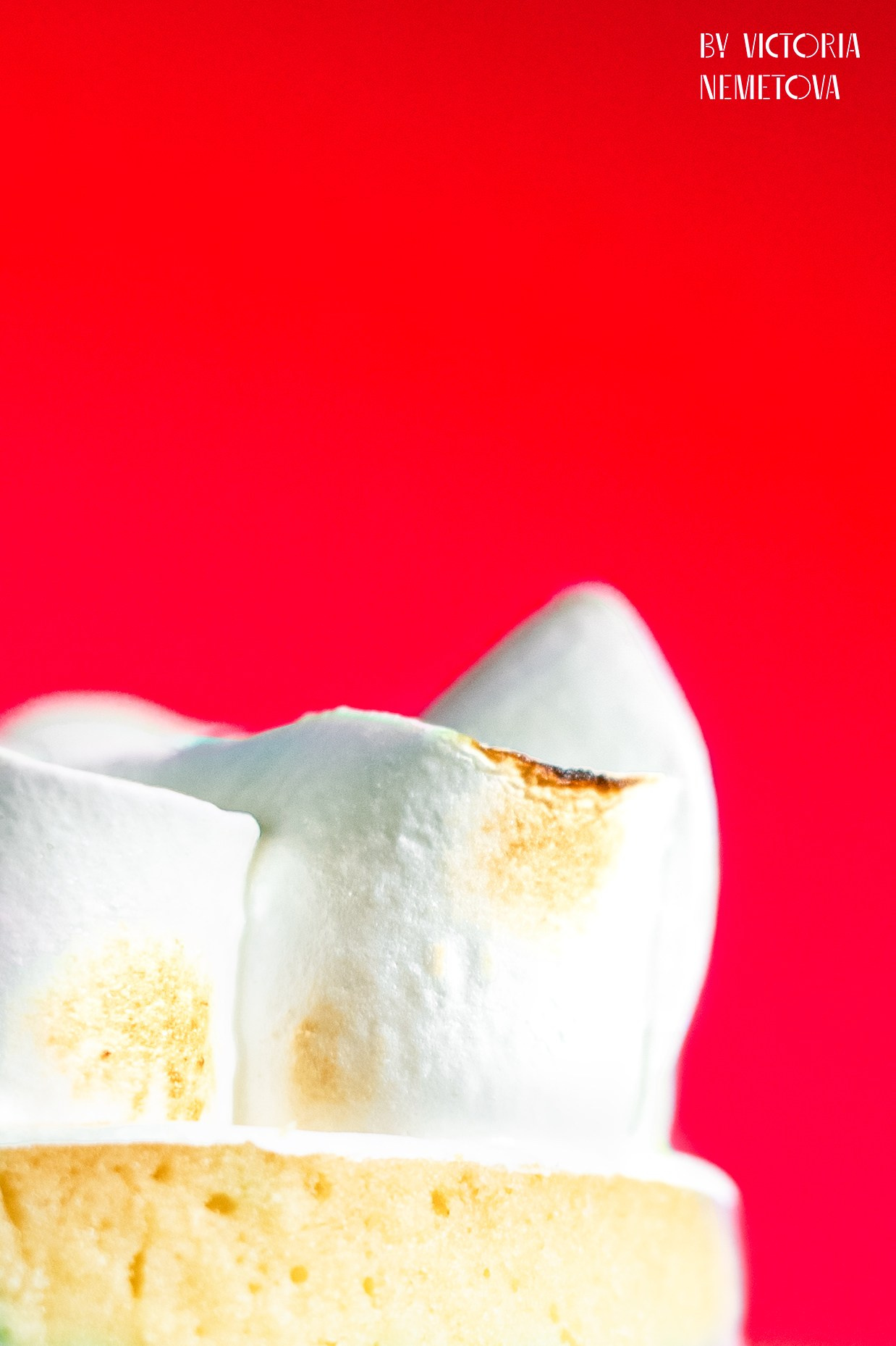 STILL LIFE. Photographer Zoya Smirnova