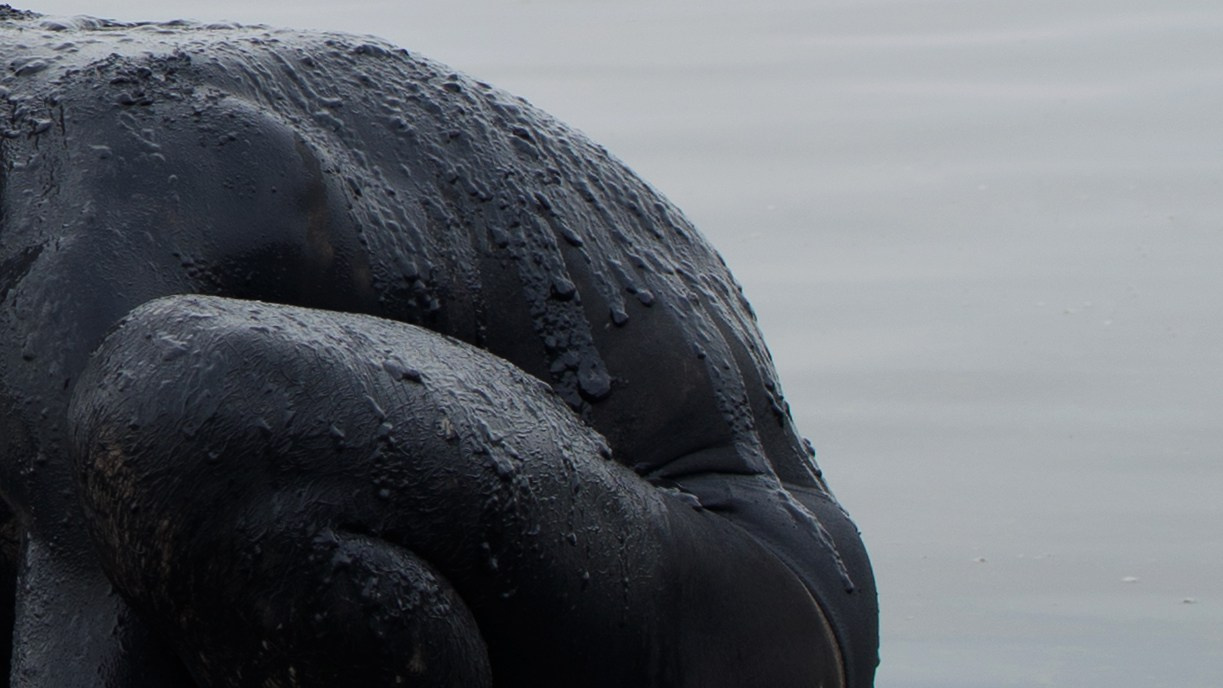 Даня. Главная