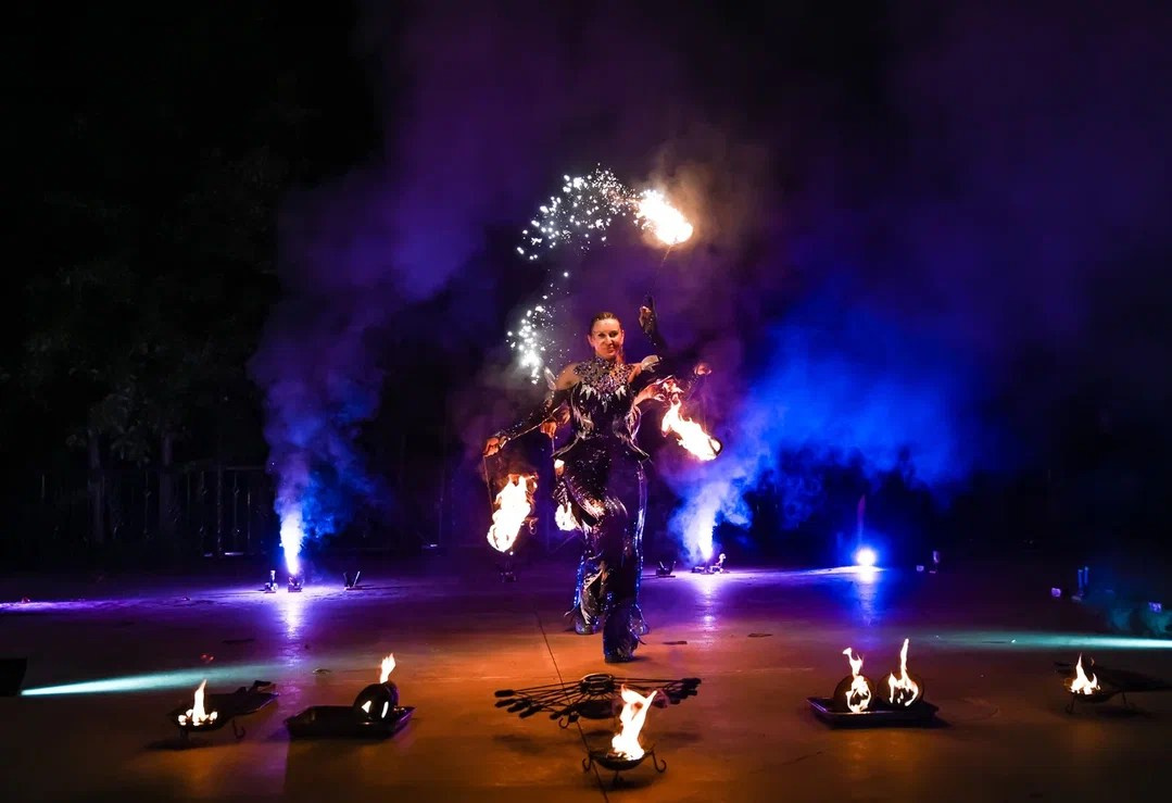 Огненно-пиротехническое шоу, салюты, пиротехника на ваш праздник!