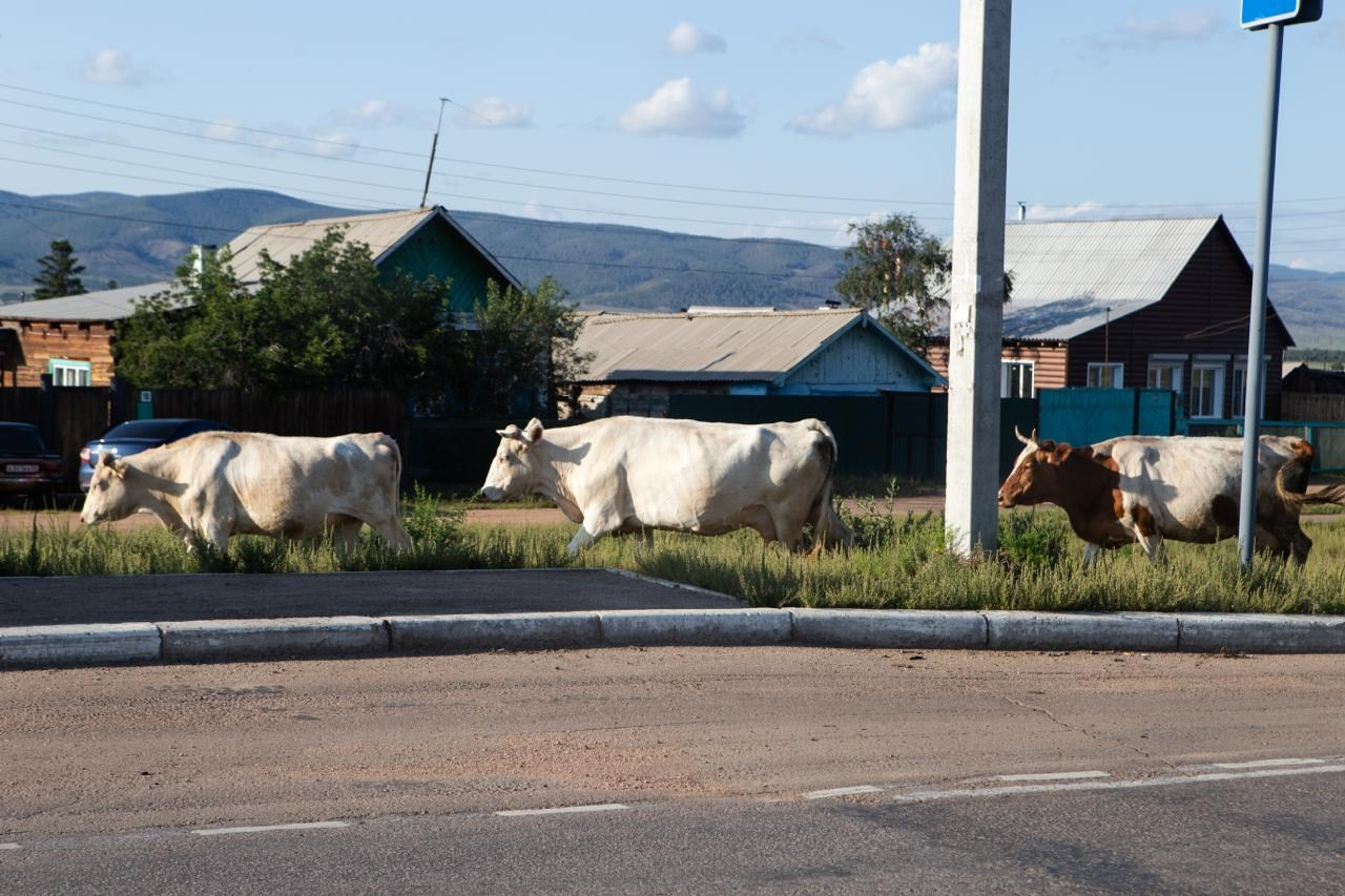 Путешествие по России Документальная фотография Ностальгия