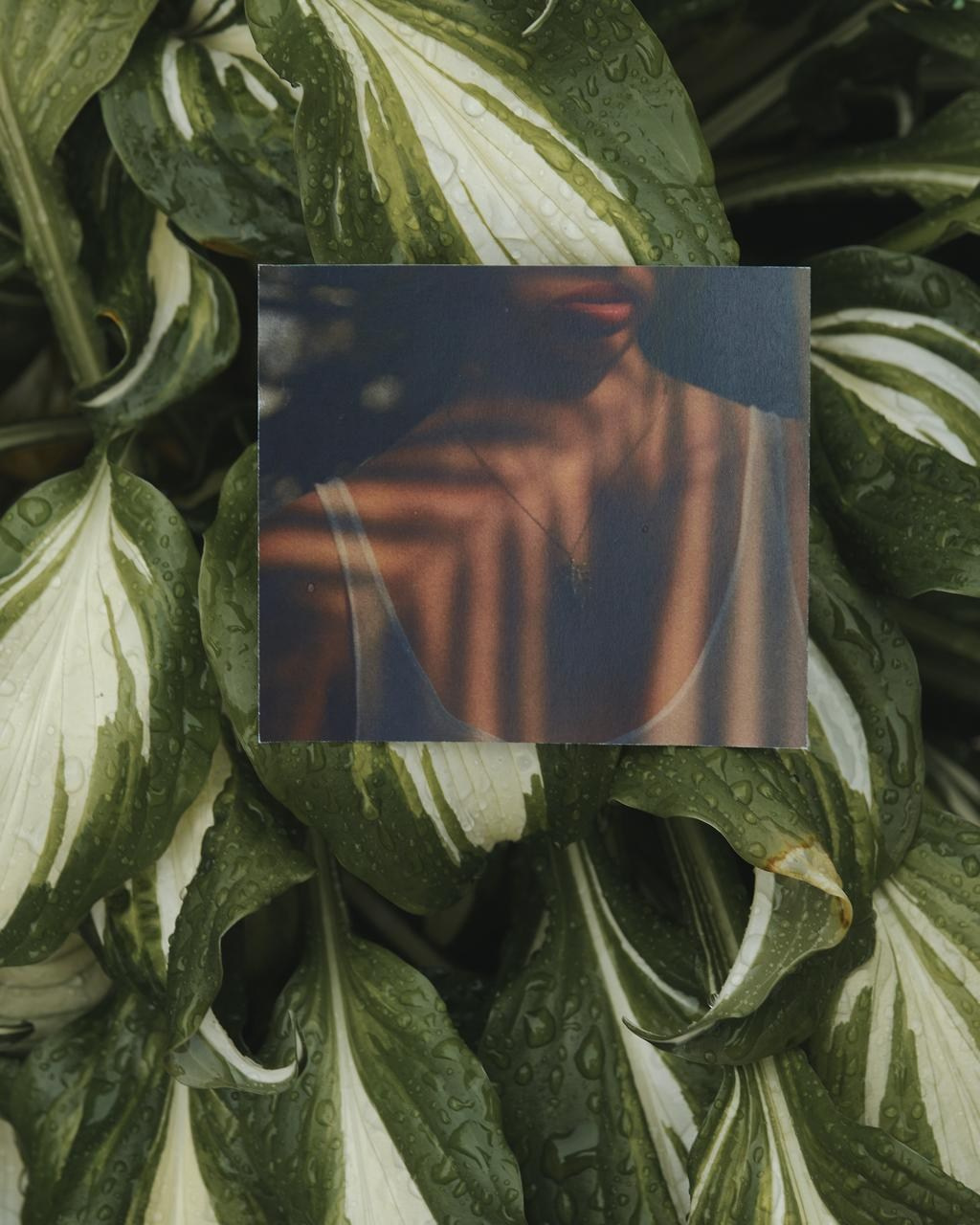 Exhibition for rain. Контент-креатор Паша Норицын