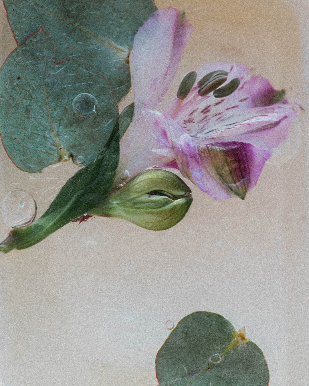 Other. Orunek photo (portrait photographer in Da Nang)