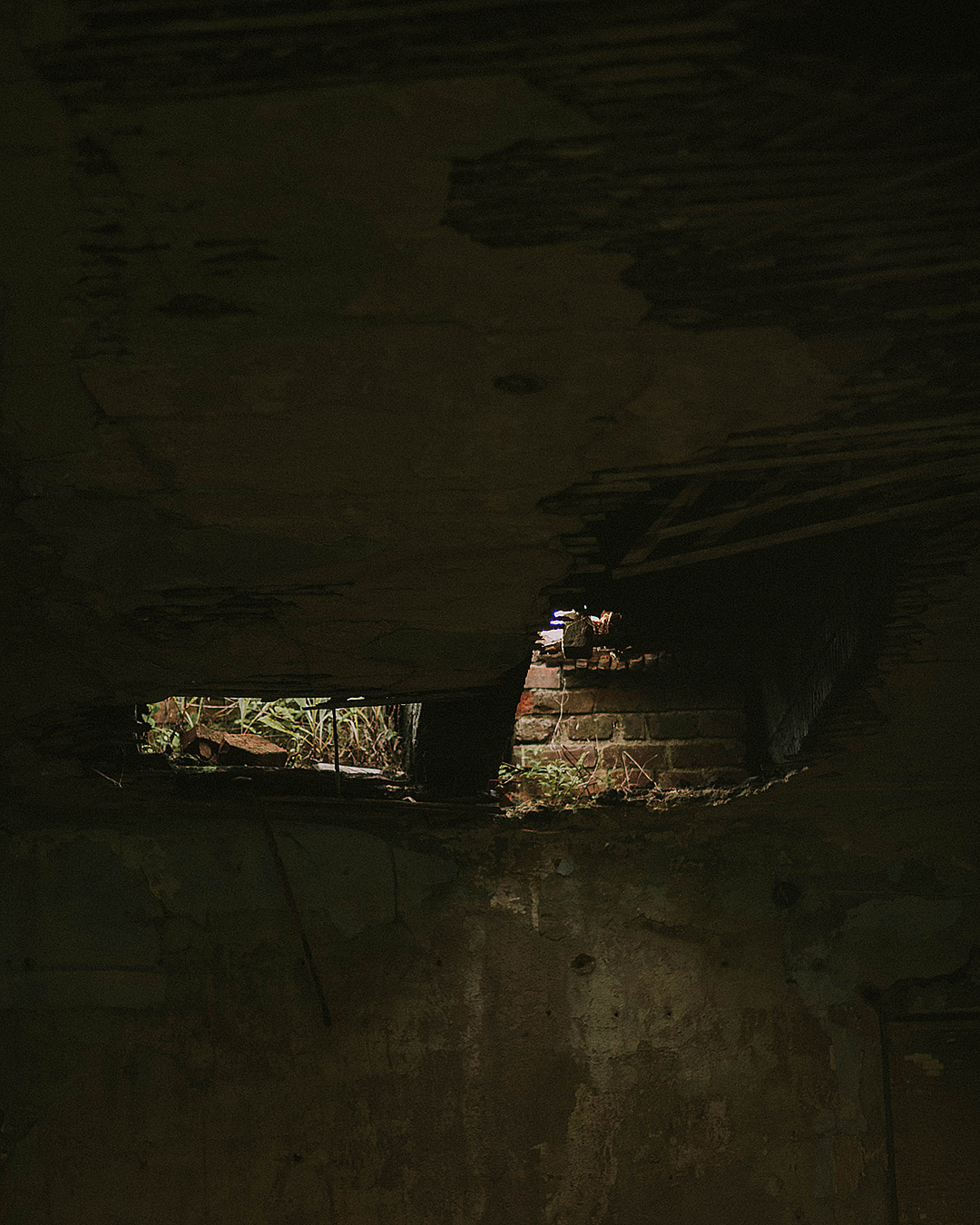 Other. Orunek photo (portrait photographer in Da Nang)