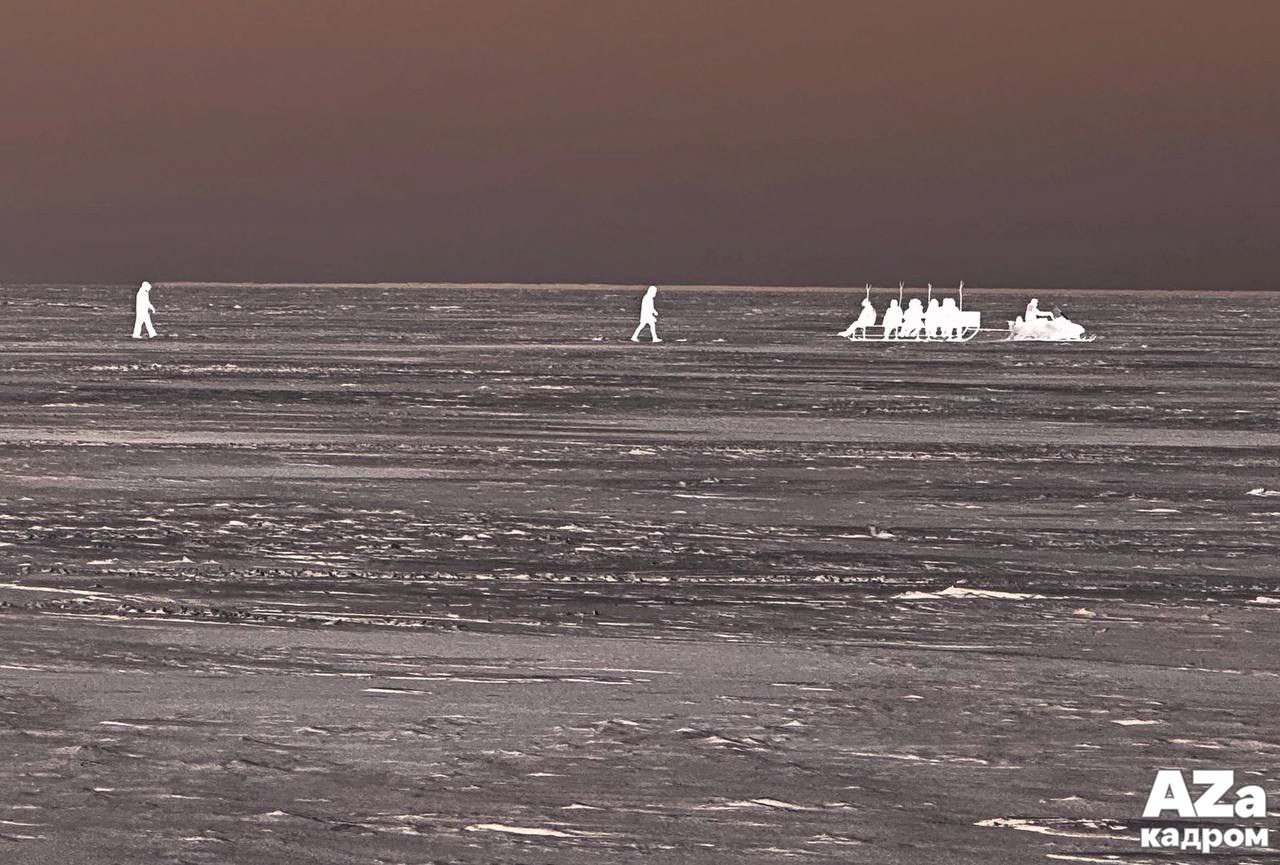 Фотофанты 02.02.2026. Женский семейный фотограф Тула Москва Захарова Анна