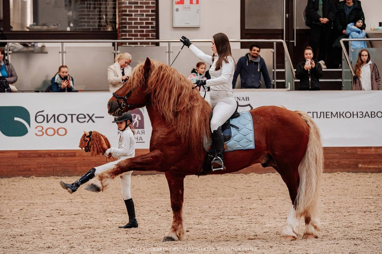 КОННАЯ ВЕСНА 2025. Куракина Дарья • Конный фотограф