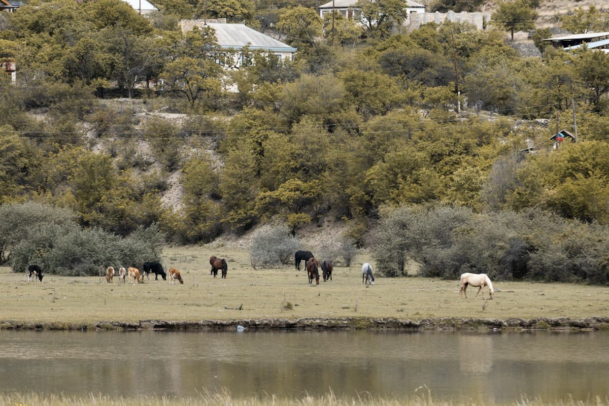 Горы. Photomantis