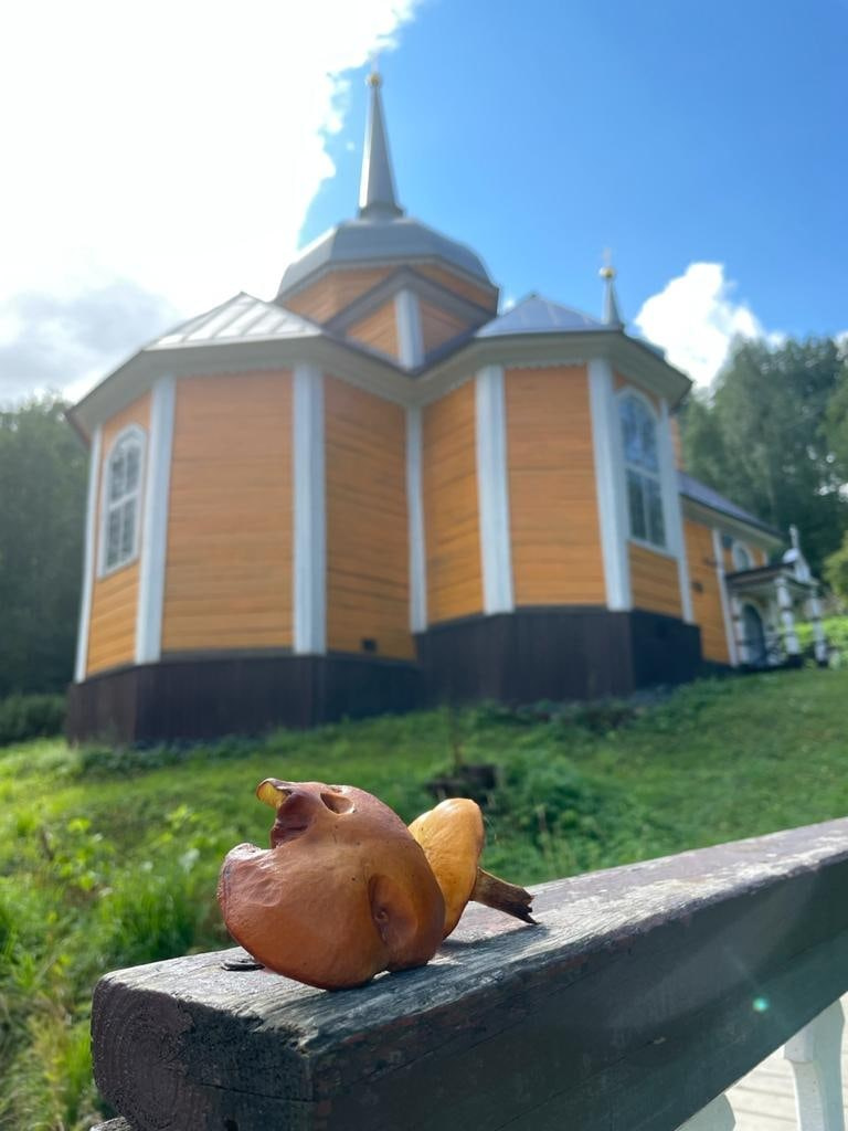 Карелия | 20-22.08.21. Галерея Фантим