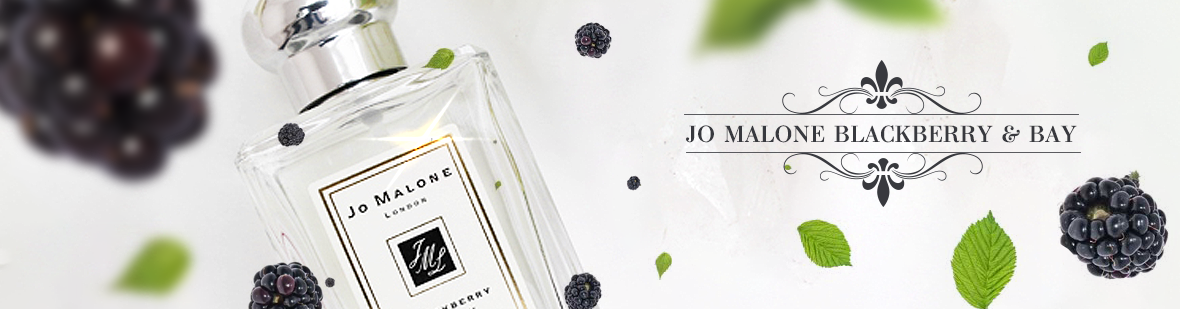 Web — дизайн