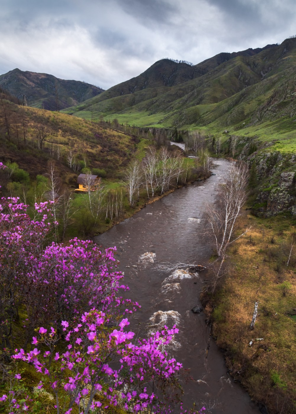 Майский Урсул. Онгудайский район, май 2024