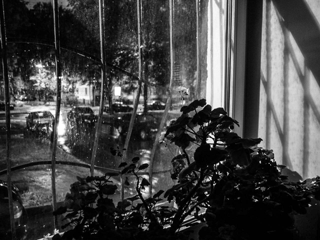 Питер. Фотограф Cyberkyrie