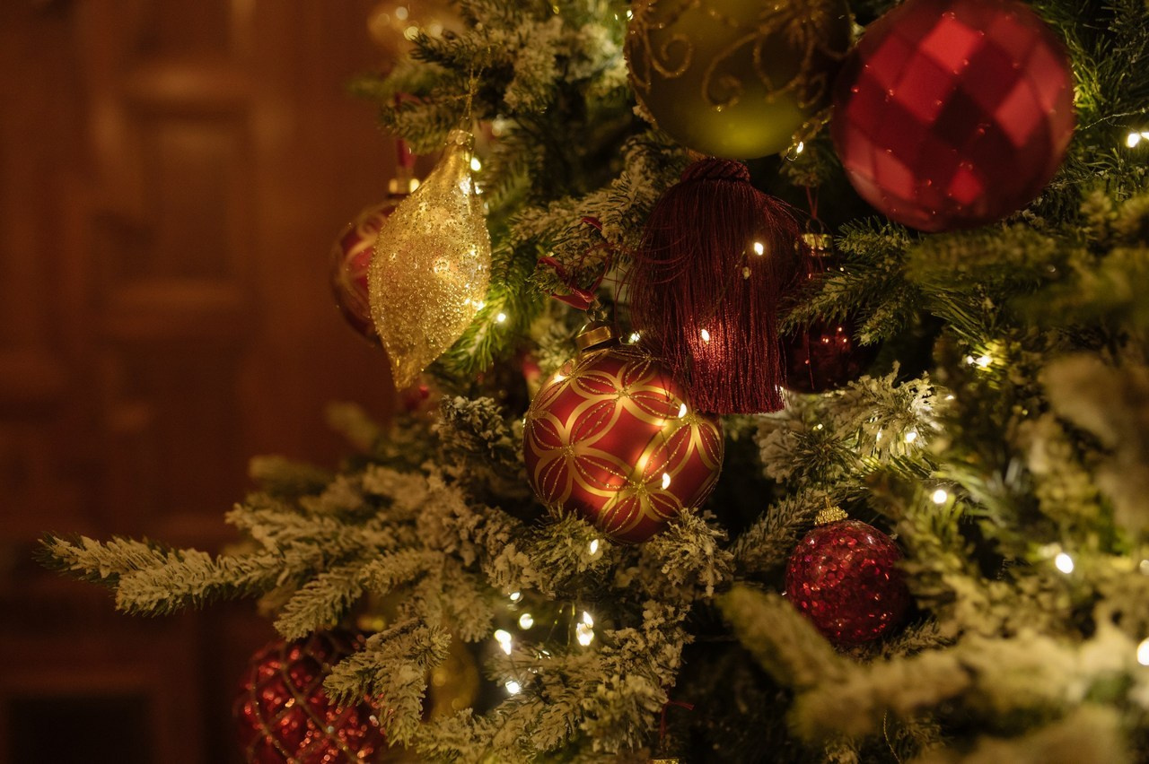 Отзывы. Свадебный и Семейный фотограф в Санкт-Петербурге Марина Заборовская