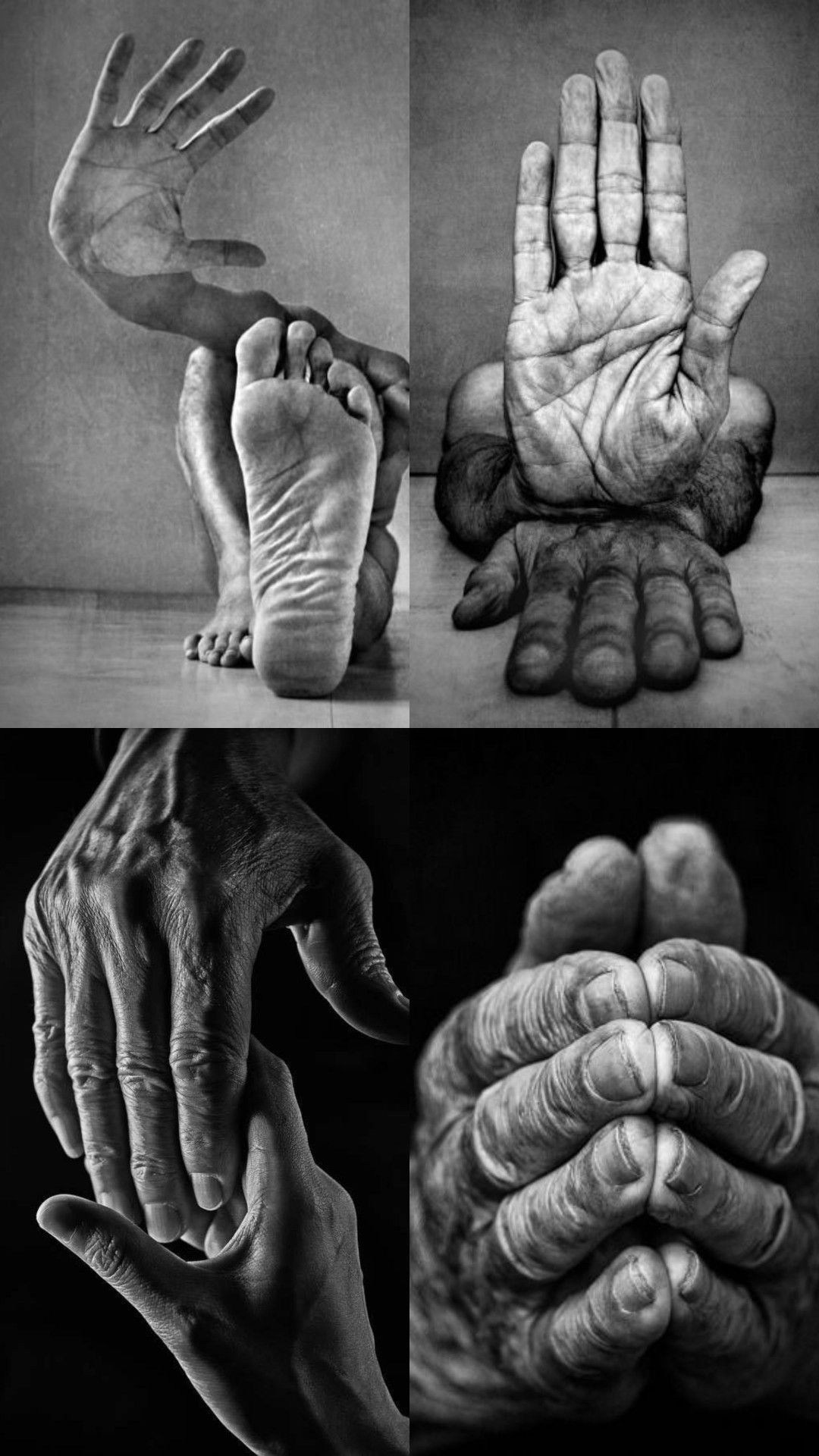 Ладони. Фотограф для маркетплейсов Михаил Бове