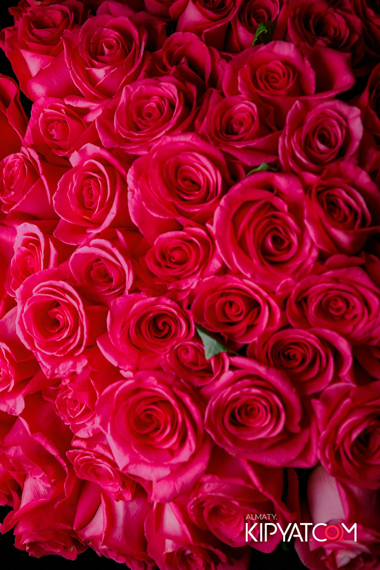 ВАХТАНГУРИ. КИПЯТКОМ АЛМАТЫ!