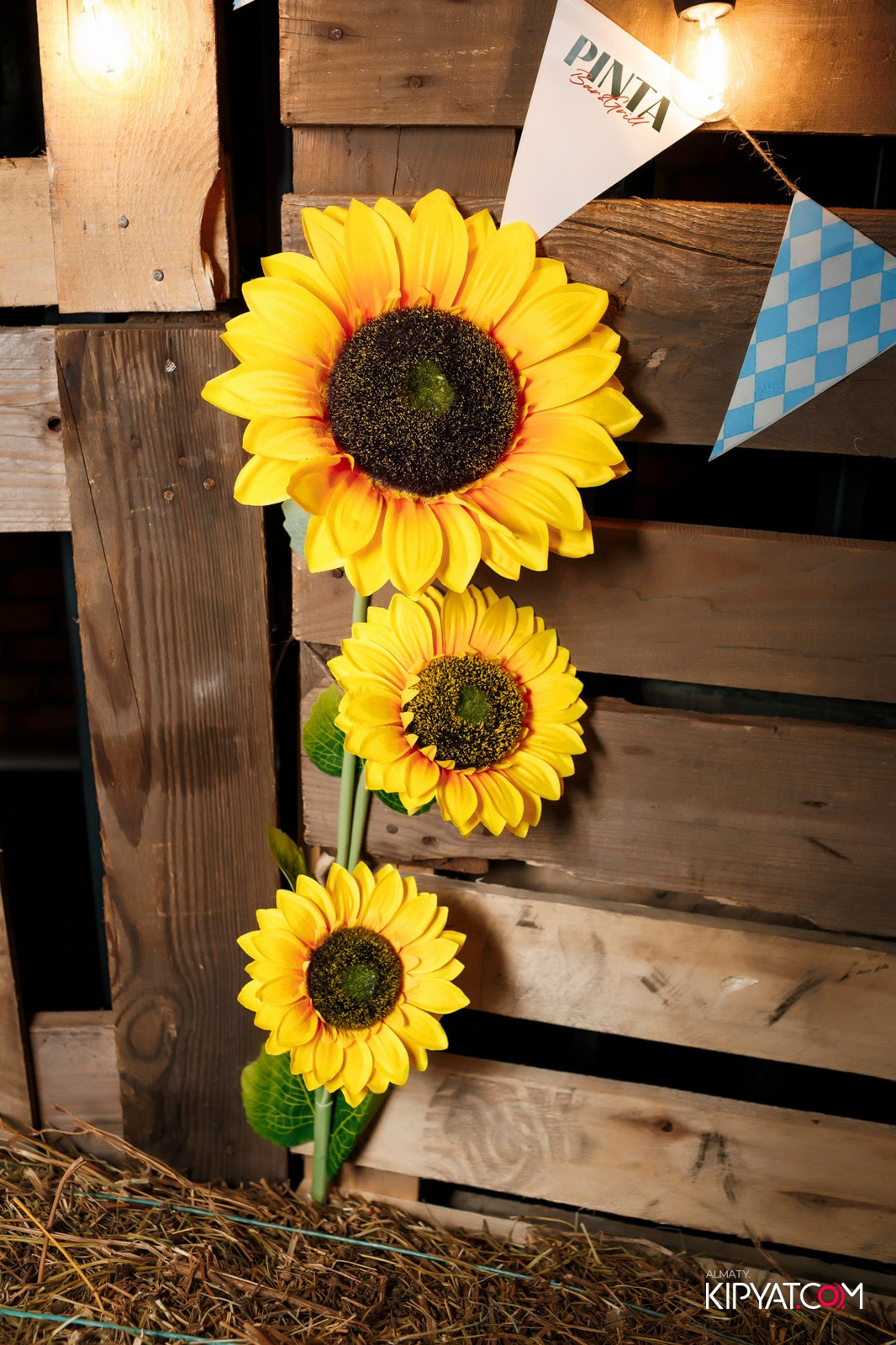 OKTOBERFEST-ПИНТА НА ГОГОЛЯ. КИПЯТКОМ АЛМАТЫ!