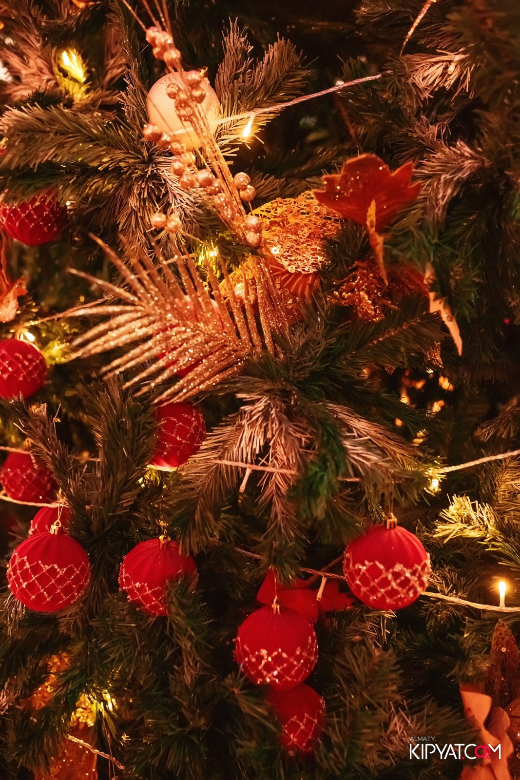 ГРУЗИНСКИЙ ДВОР. КИПЯТКОМ АЛМАТЫ!