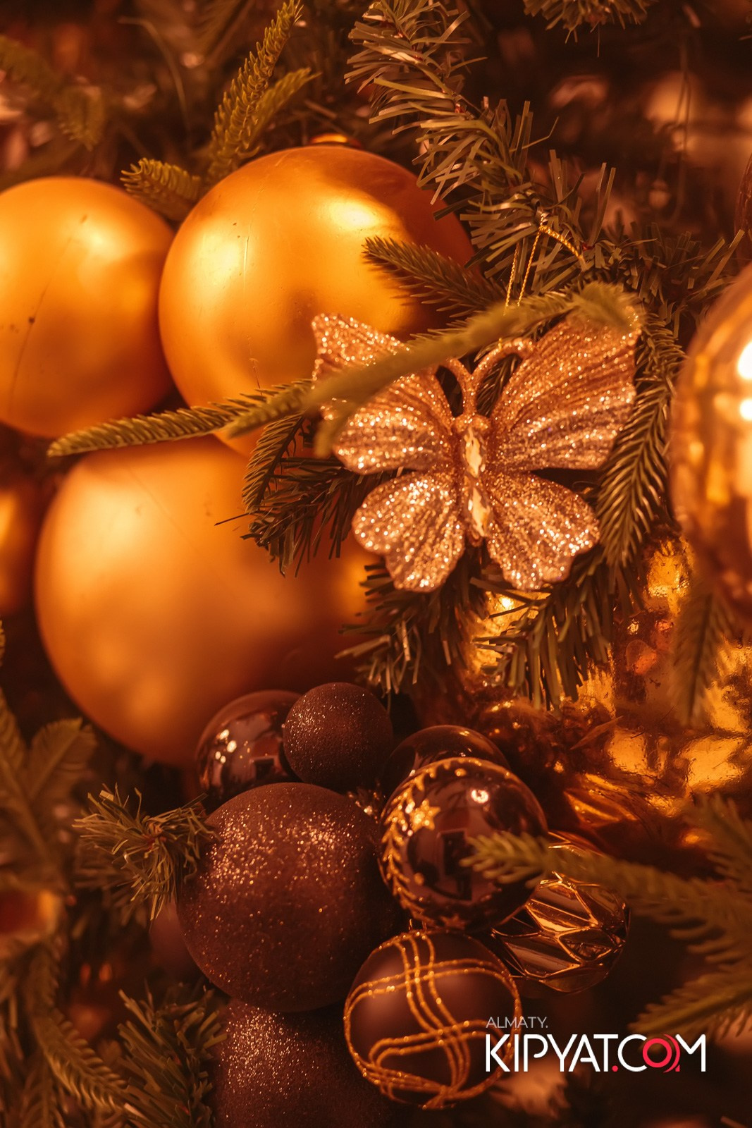 BARFLY. КИПЯТКОМ АЛМАТЫ!