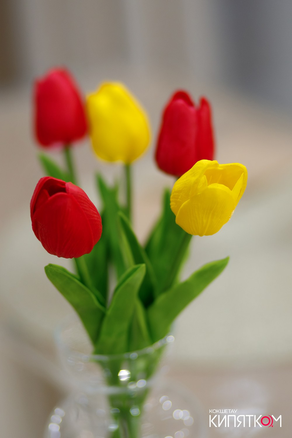 DOLCE CASA. КИПЯТКОМ КОКШЕТАУ