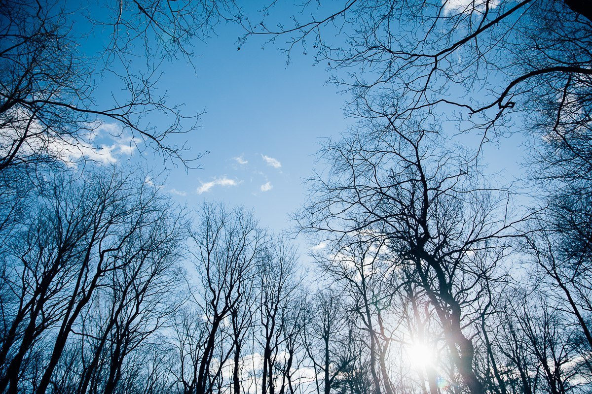 Однажды в феврале. Семейный и детский фотограф в Санкт-Петербурге Марина Сергеева