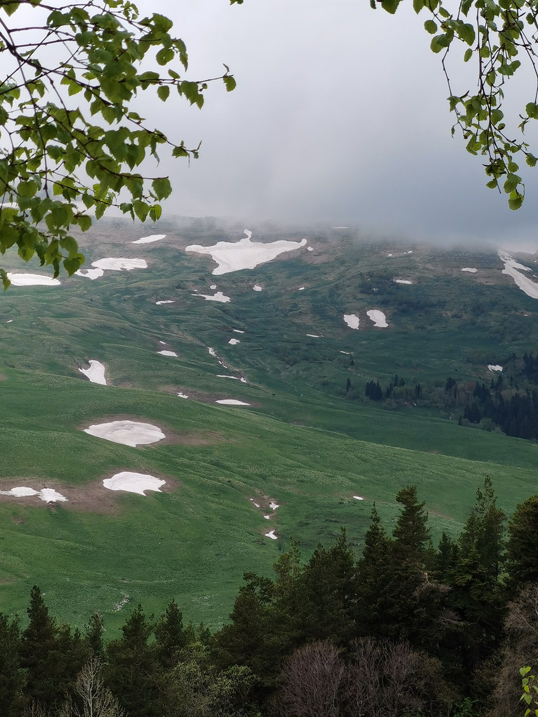 Стрит и пейзажи. Главная