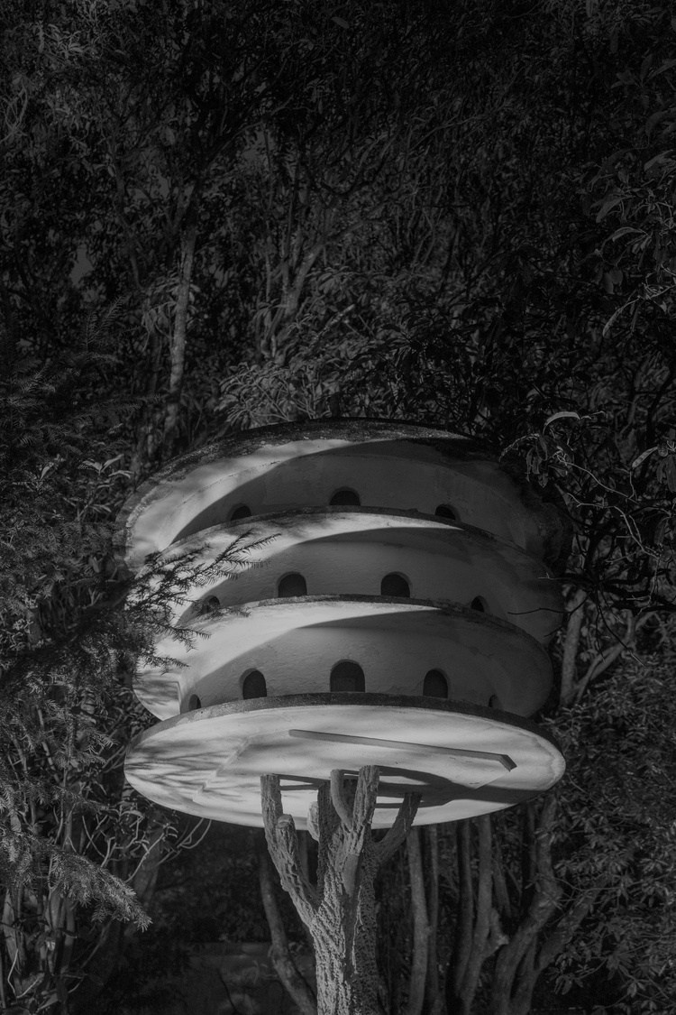 Проект Розы Лакавалла (Rosa Lacavalla) «Sana Sana». Private image