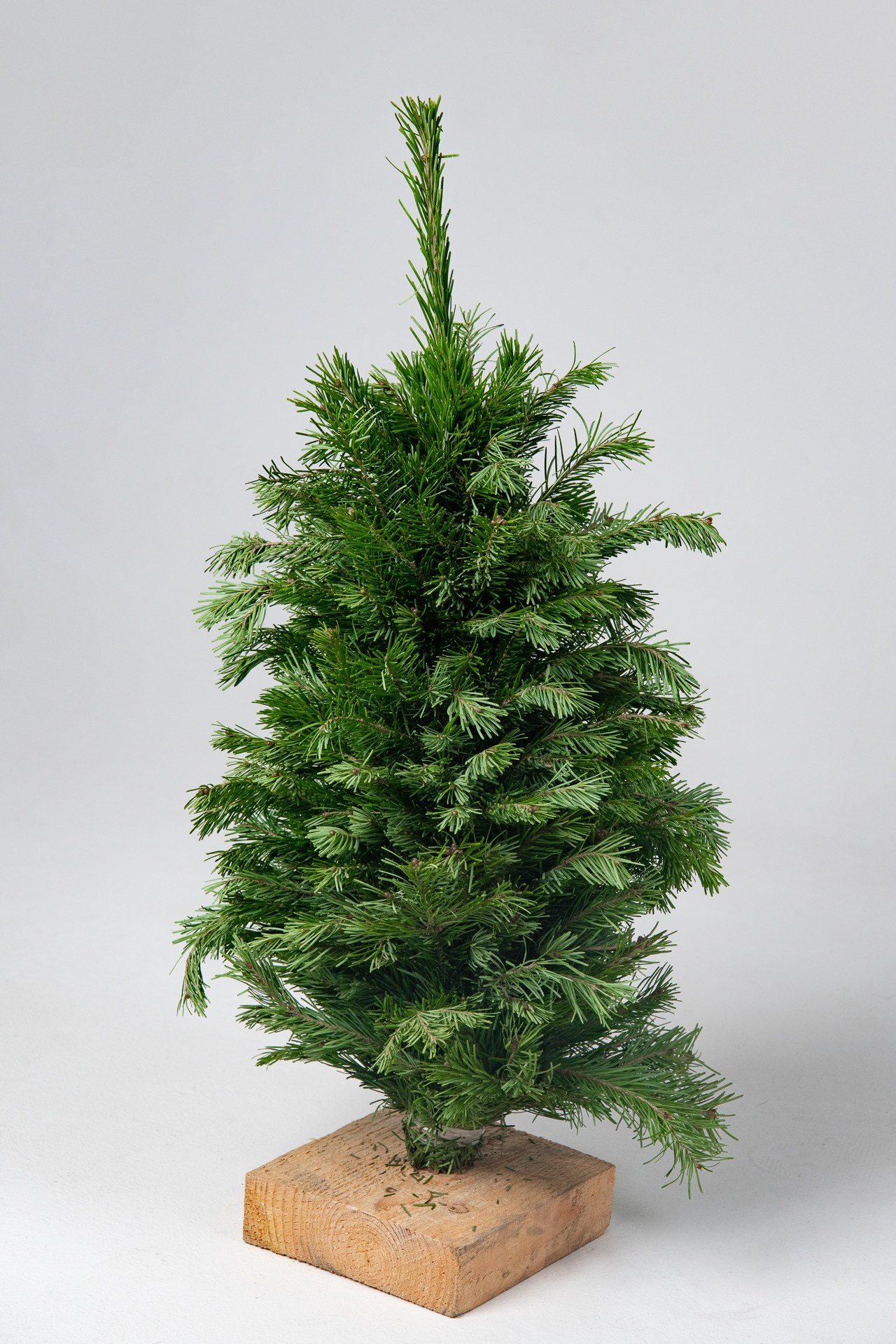 Предметная съемка елок. Фомина Елена Свадебный и семейный фотограф