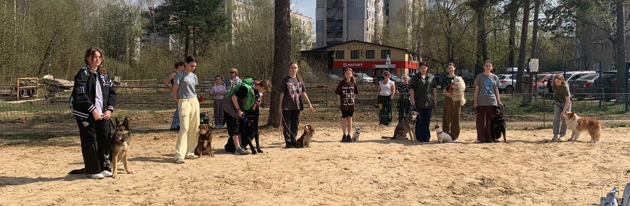 Практические занятия по дрессировке. НРОО КЦ "Собаковод"