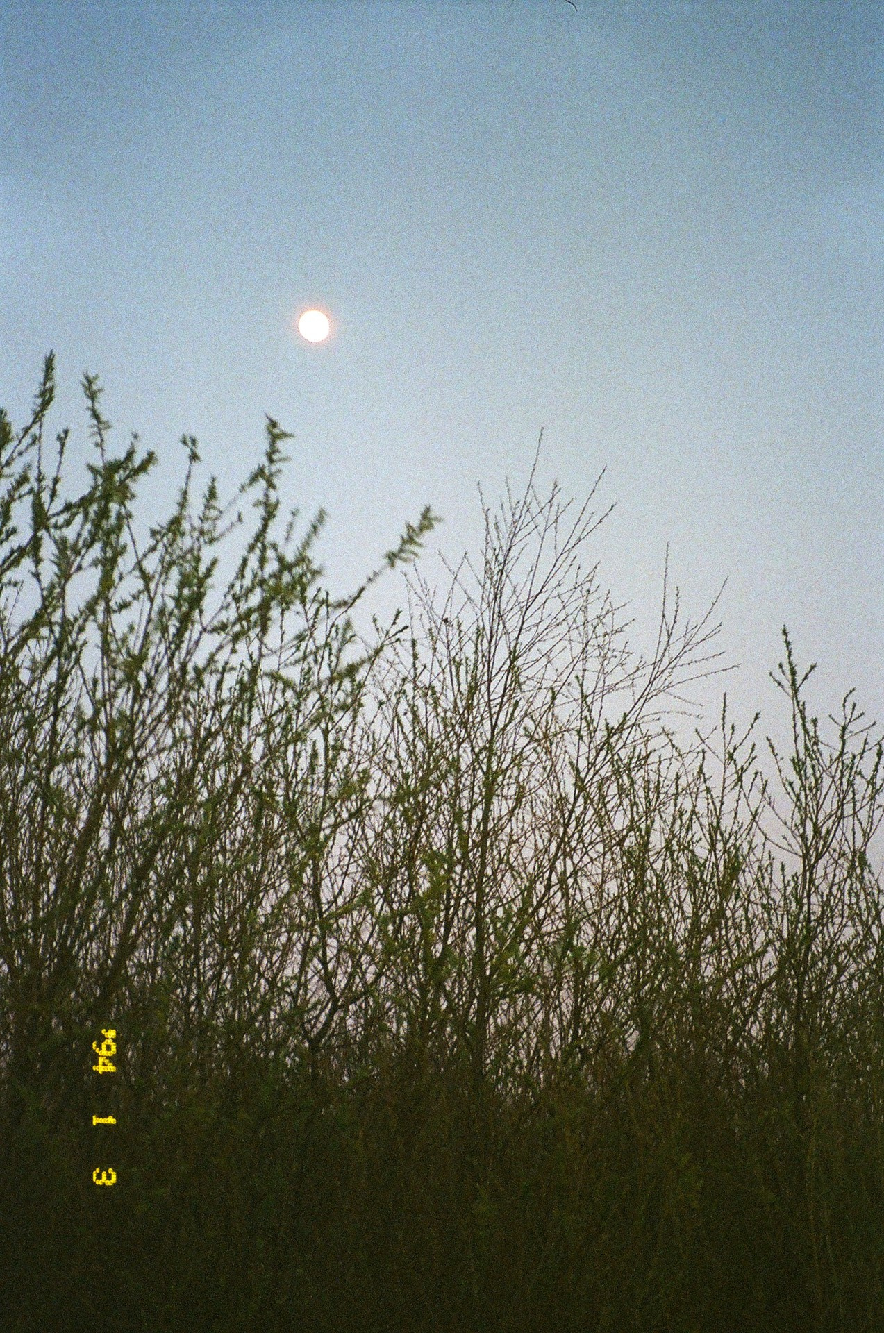 @chipi_clo on film. Михаил Барановский