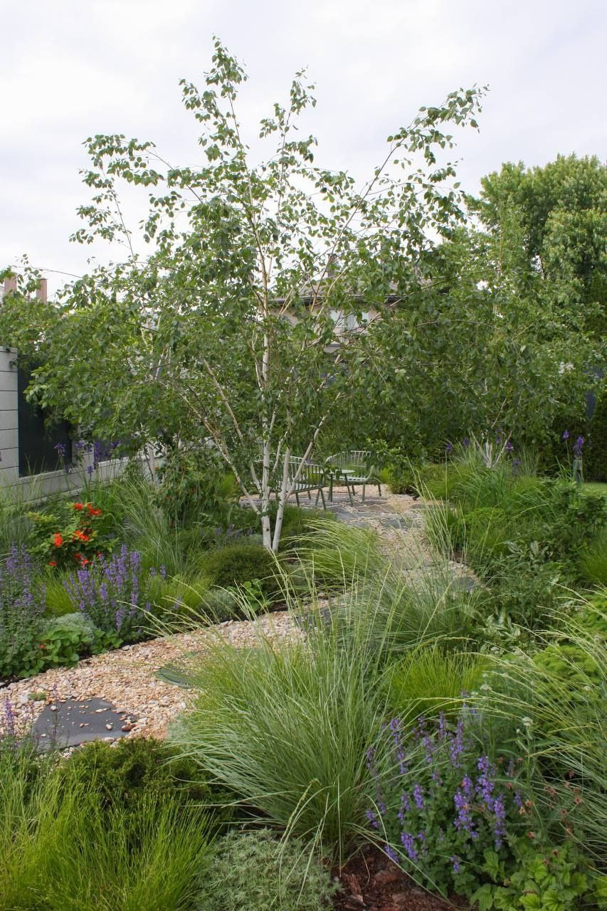 Участок в пейзажном силе. Дизайн интерьера, мебели и ландшафта на КМВ | OXY Design