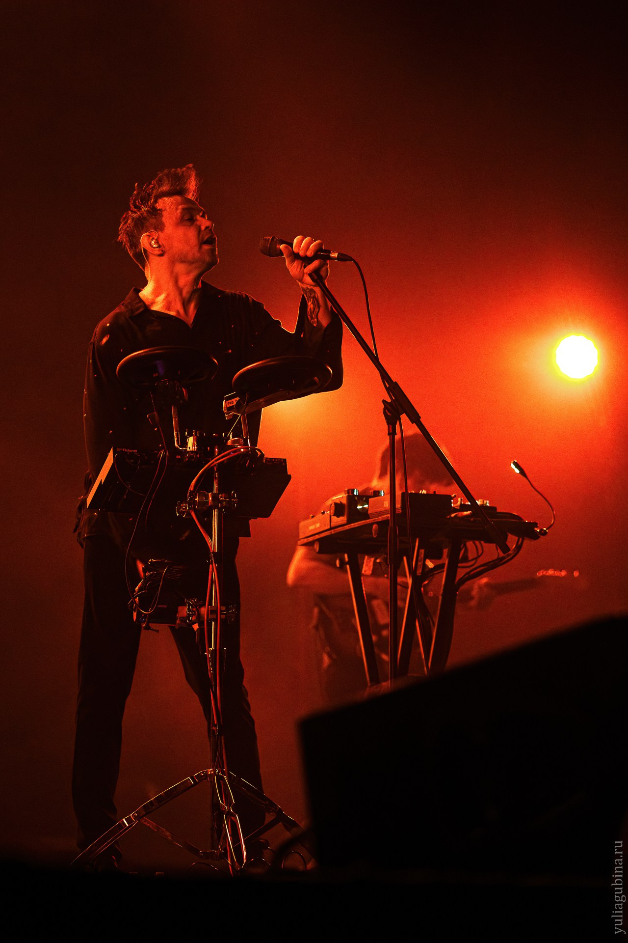 Дельфин, 07.03.2024, Atmosphere