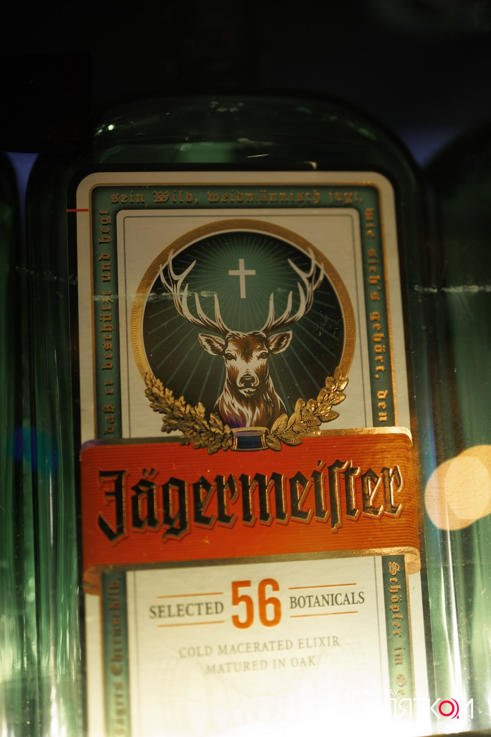 WOW QUIZ. КИПЯТКОМ КОКШЕТАУ