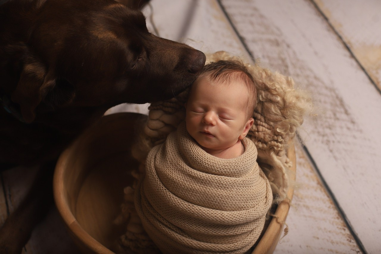 Отзывы. Детский фотограф в Москве и Московской области