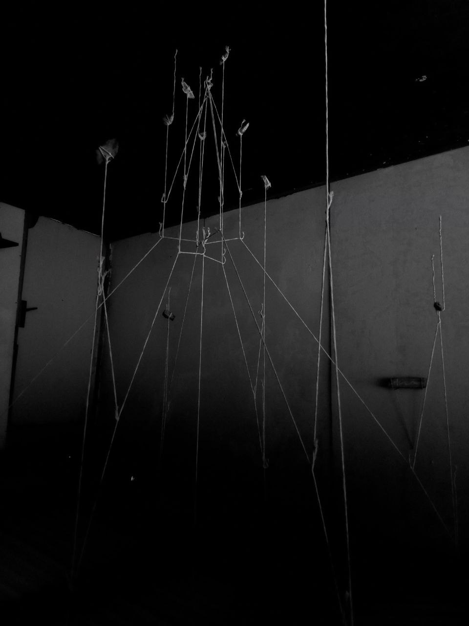 Язык птиц. Данил Андреев, мультидисциплинарный художник, Санкт-Петербург