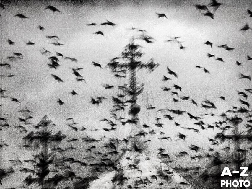 #ФОТОНЕДЕЛИ 08.12.2025. Женский семейный фотограф Тула Москва Захарова Анна