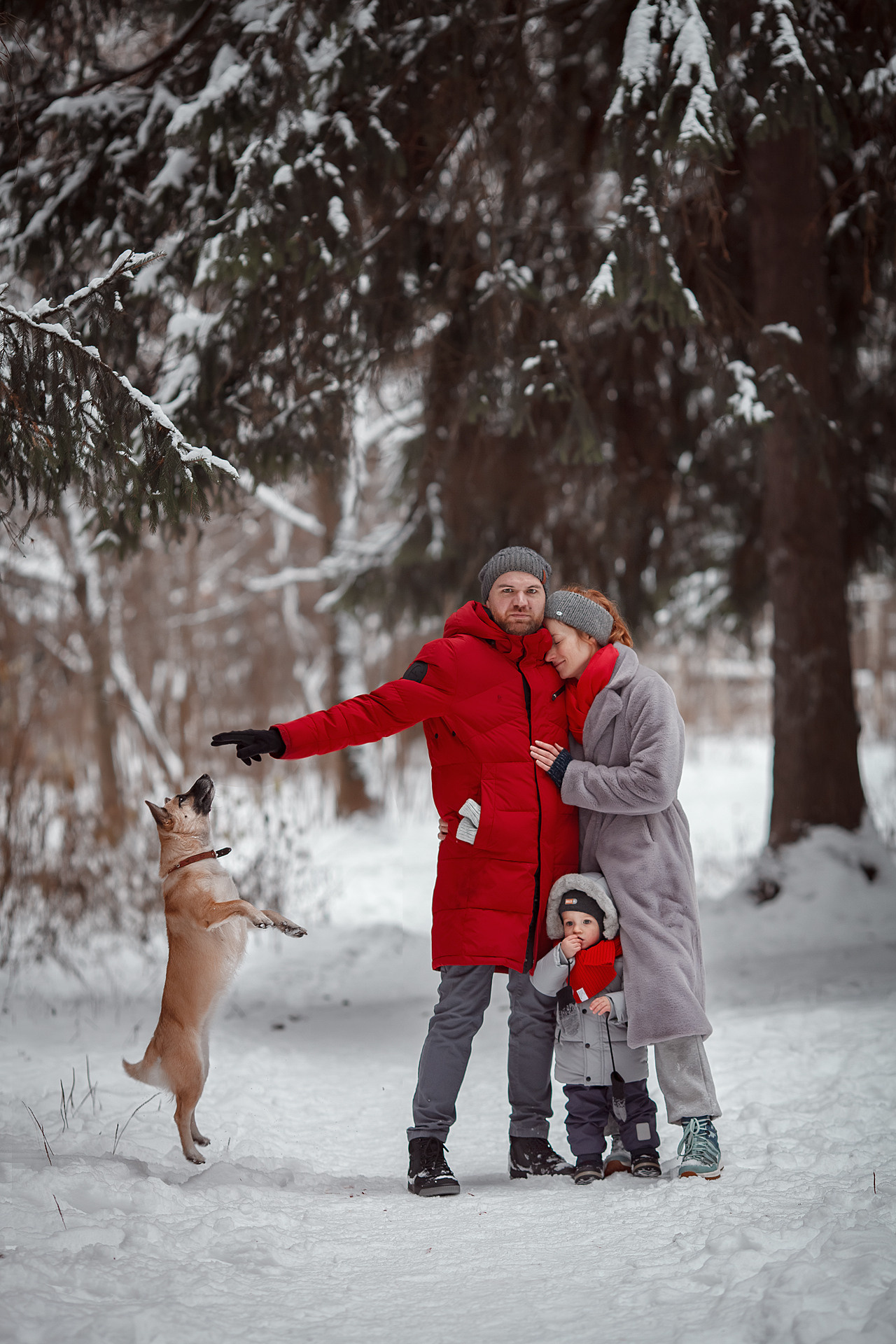Ксения, Степан, Виталик и Фокси. Семейный и детский фотограф в Москве Дорогова Екатерина