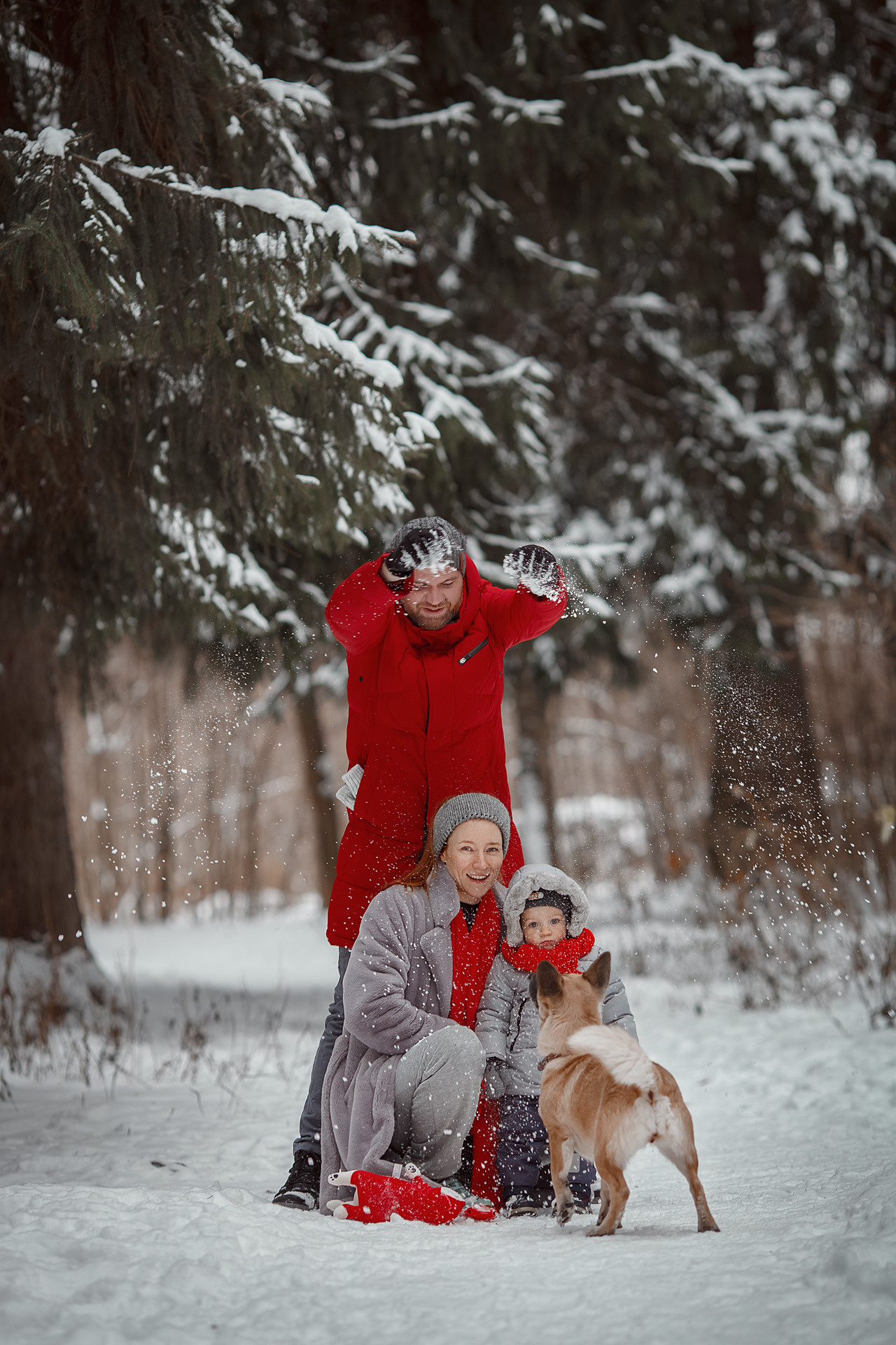 Ксения, Степан, Виталик и Фокси. Семейный и детский фотограф в Москве Дорогова Екатерина
