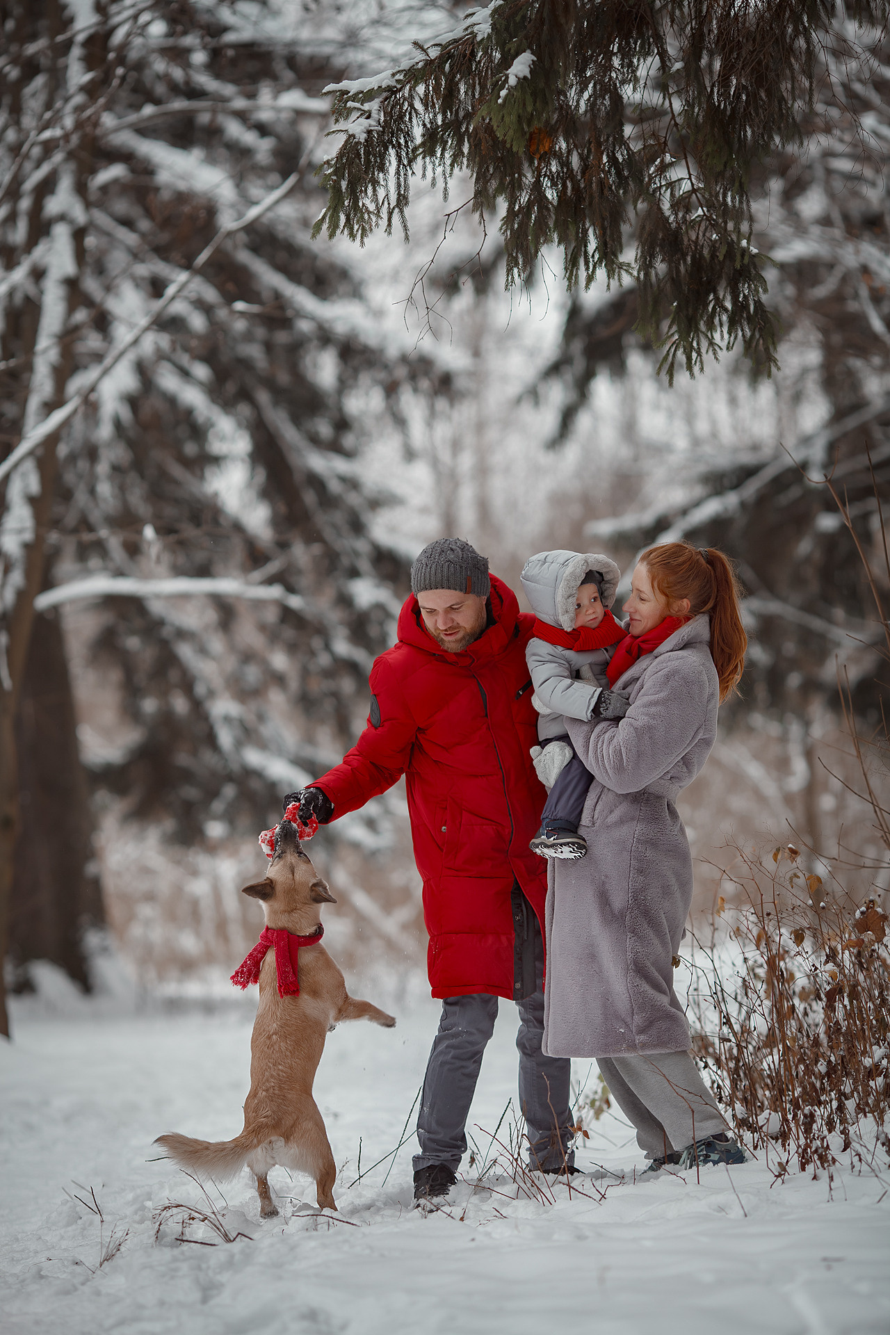 Ксения, Степан, Виталик и Фокси. Семейный и детский фотограф в Москве Дорогова Екатерина