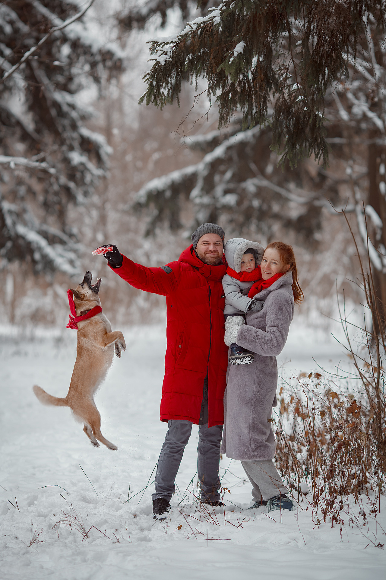 Ксения, Степан, Виталик и Фокси. Семейный и детский фотограф в Москве Дорогова Екатерина