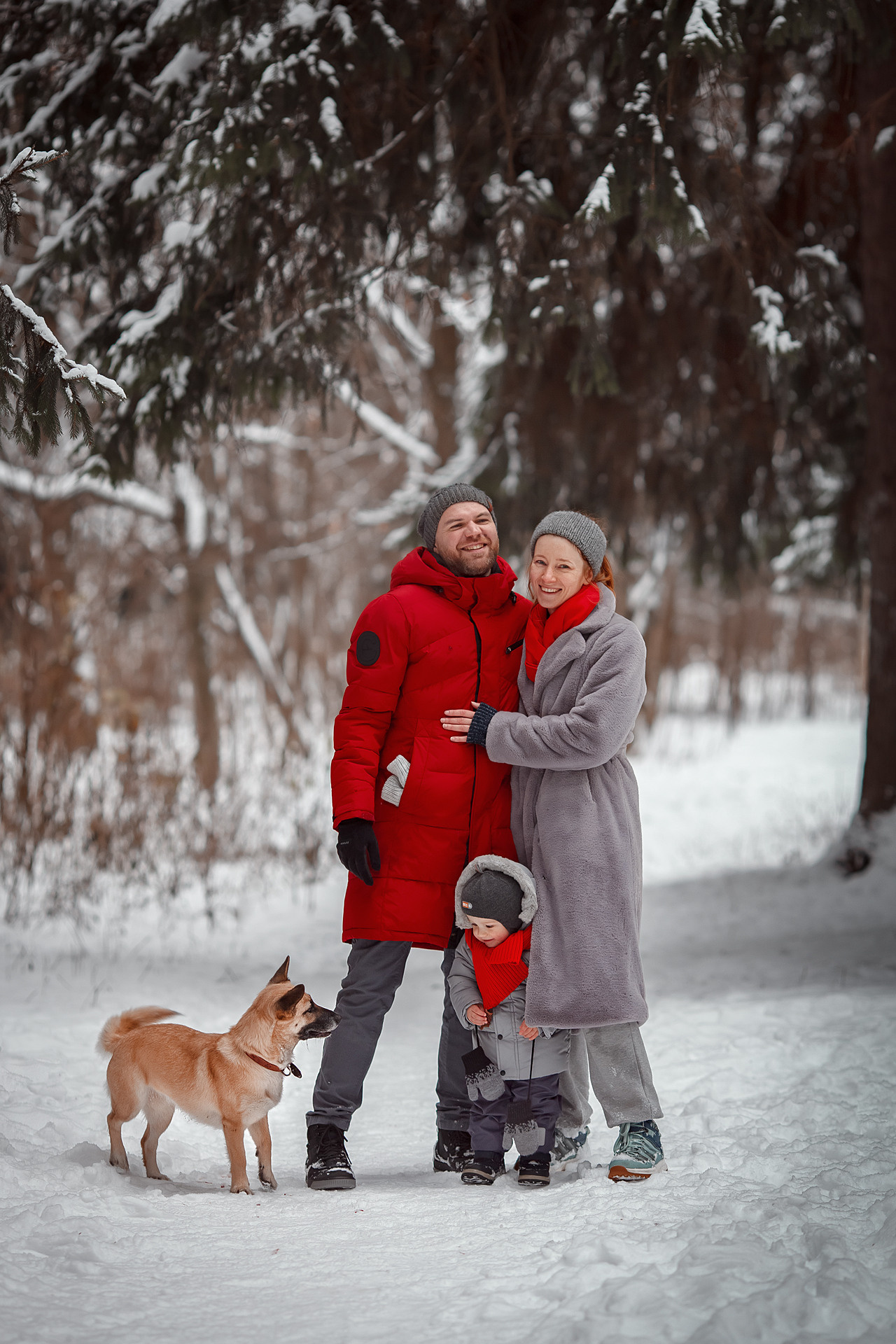 Ксения, Степан, Виталик и Фокси. Семейный и детский фотограф в Москве Дорогова Екатерина
