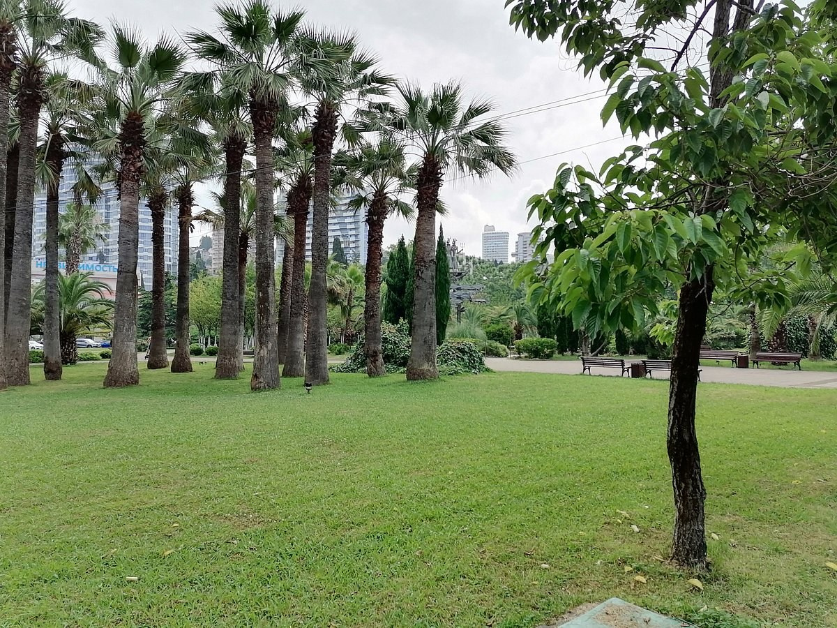 КРАСИВЫЕ МЕСТА В СОЧИ. Свадебный и семейный фотограф/видеограф в Краснодаре Наталья Осинская