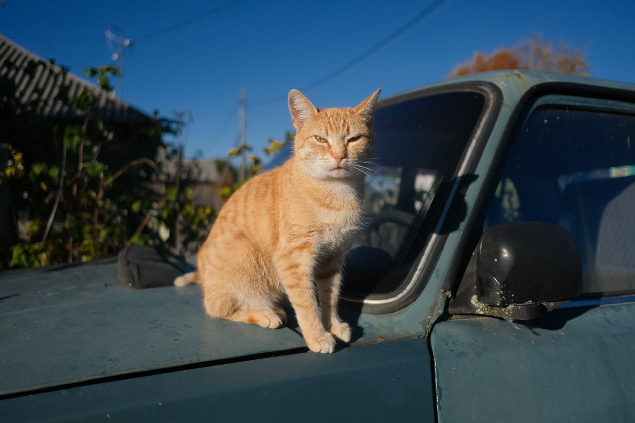 Архангельская область. Фотограф Евгений Андреев