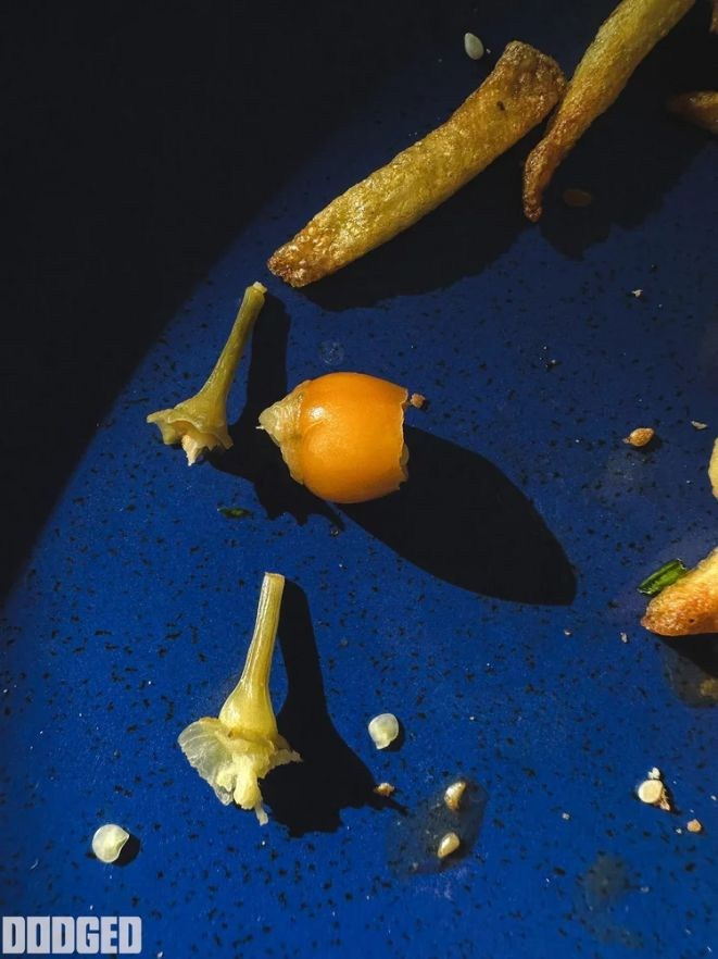 DODGED. Семейный и детский фотограф в Обнинске Анастасия Улитко