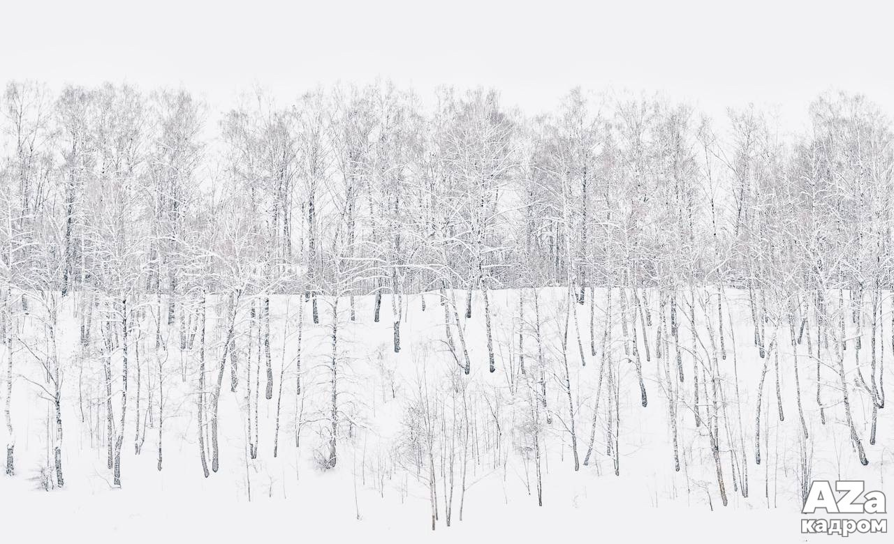 Фотофанты 02.02.2026. Женский семейный фотограф Тула Москва Захарова Анна