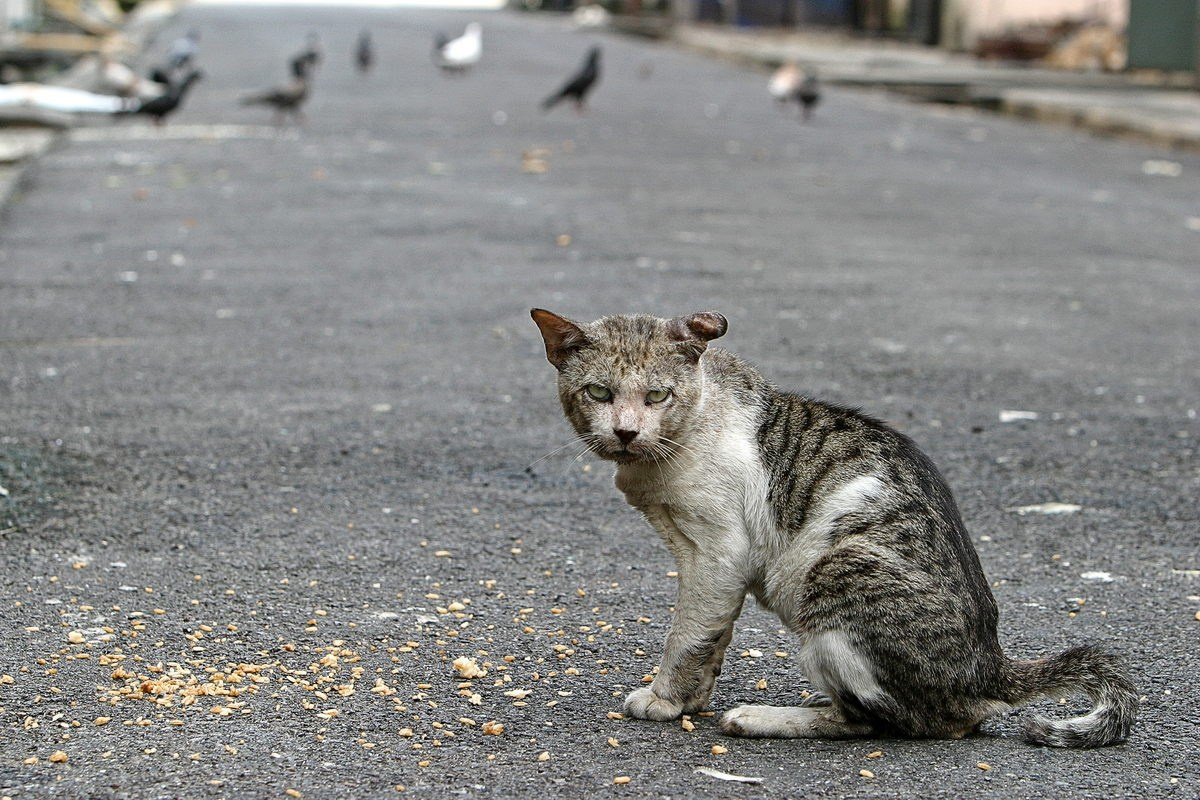 Various. Павел Маркелов, фотограф