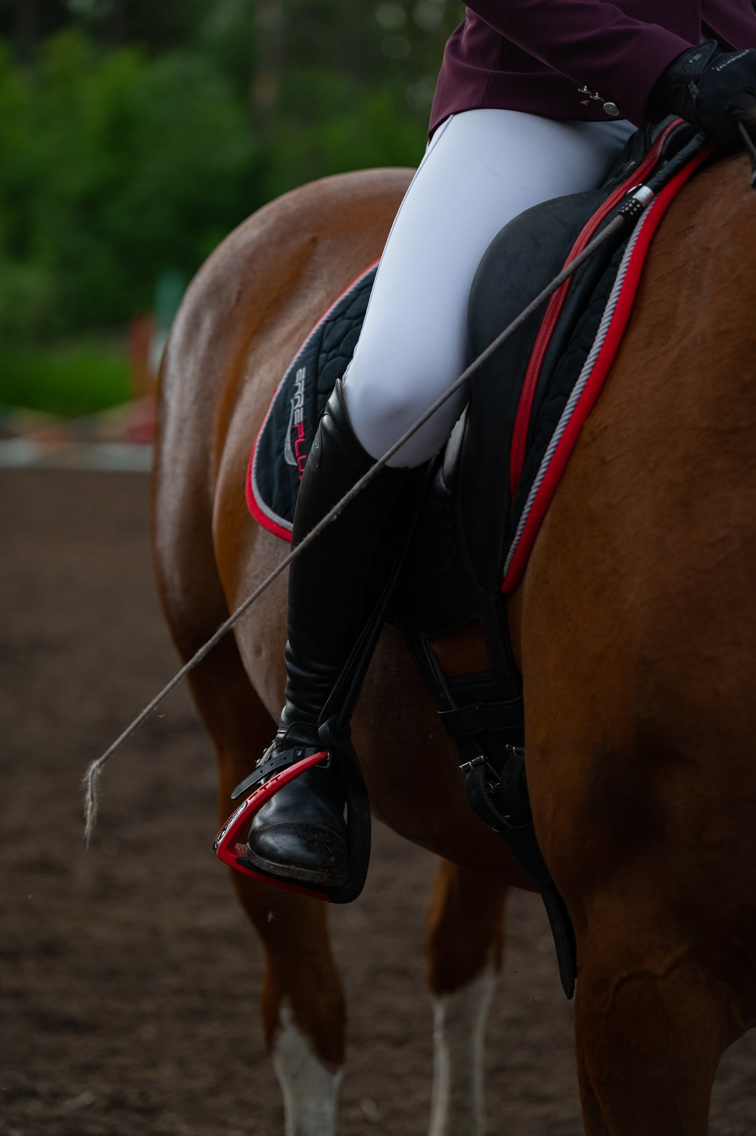 Конюшня. Мир живой фотографии о Вас и для Вас