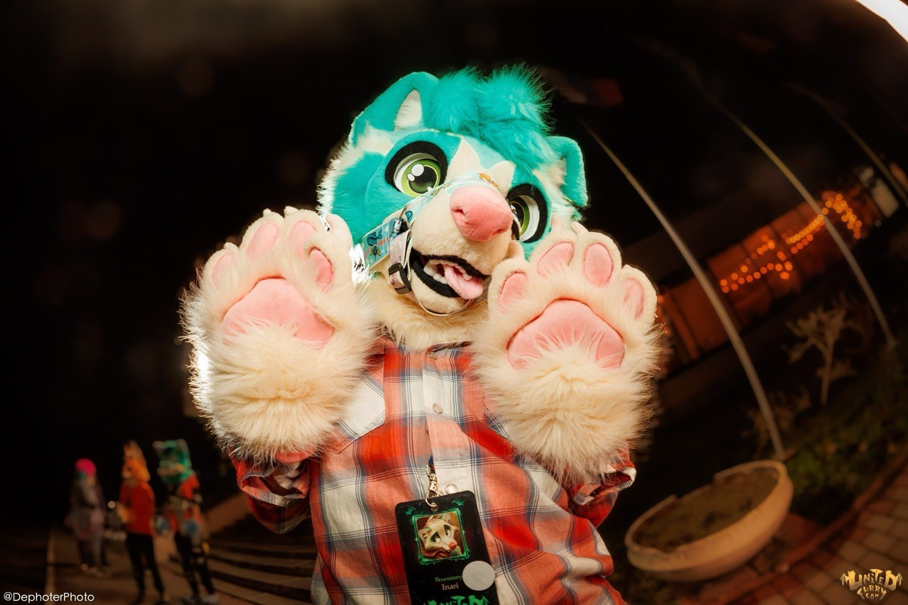 United Furry Convention 2026. Различные мероприятия и просто фотографии людей