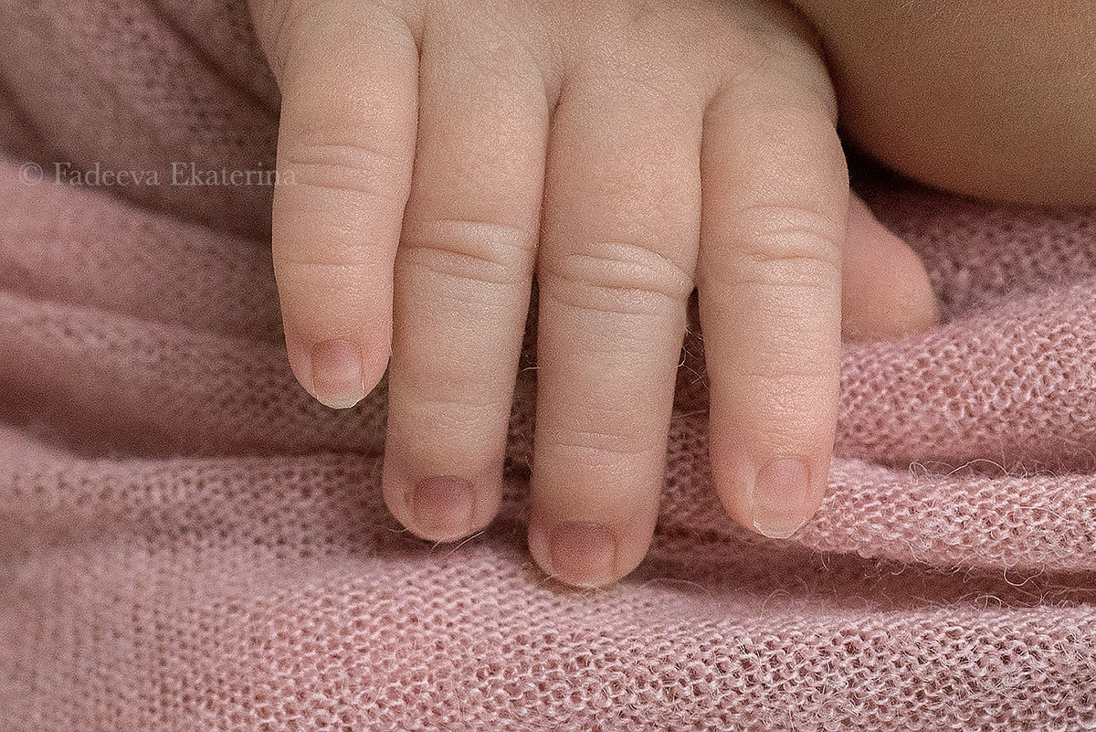Новорожденные. Фотограф новорожденных Санкт-Петербург Екатерина Фадеева