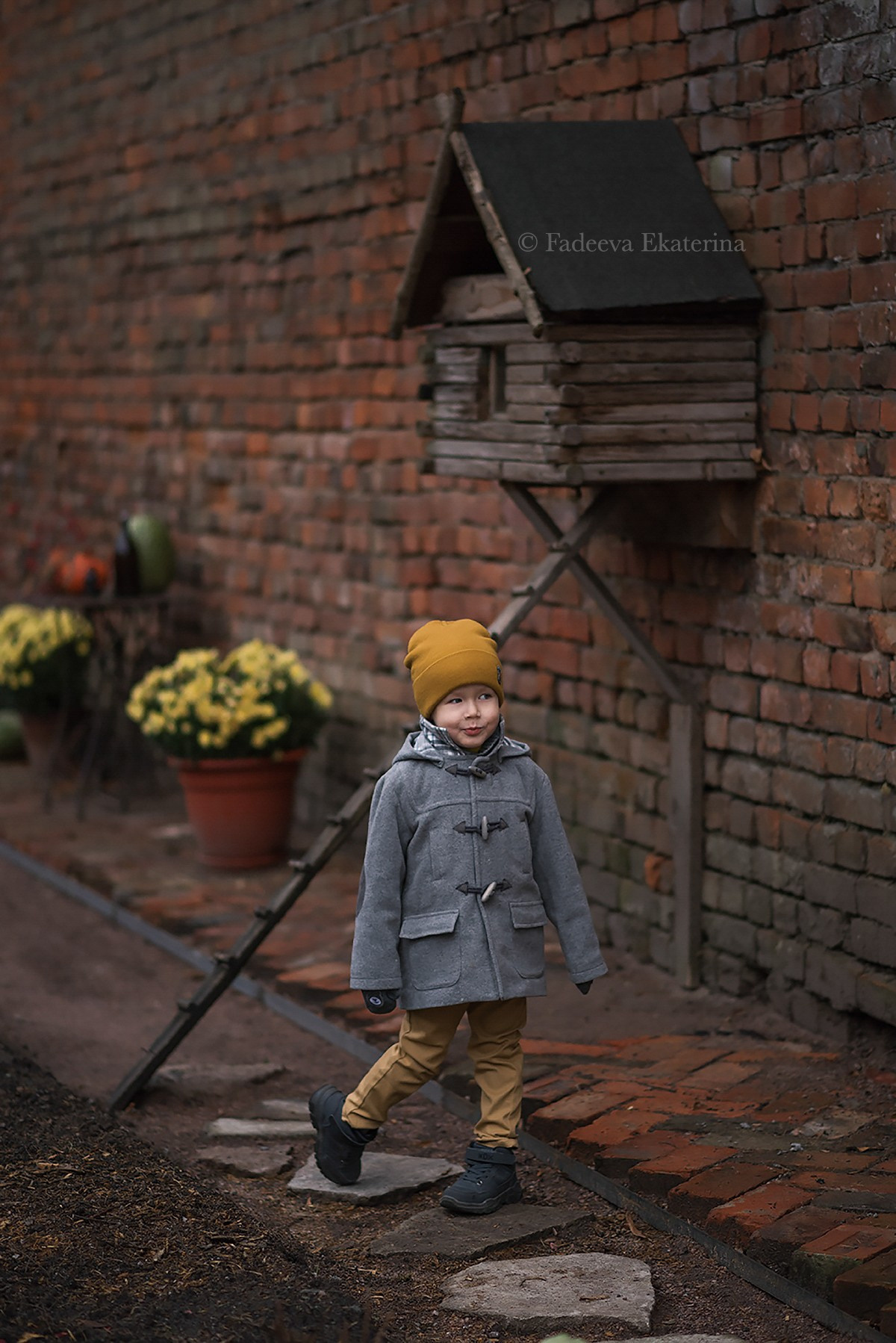 Семейный альбом