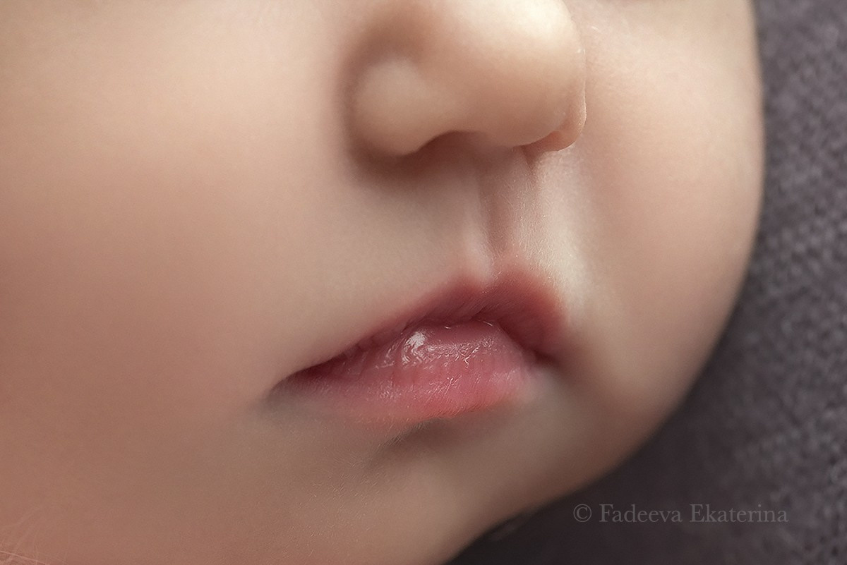 Новорожденные. Фотограф новорожденных Санкт-Петербург Екатерина Фадеева
