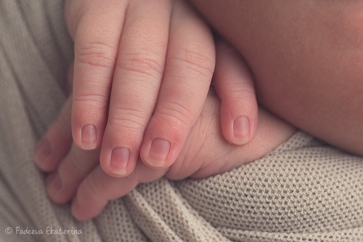 Новорожденные. Фотограф новорожденных Санкт-Петербург Екатерина Фадеева